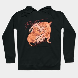 Cat Friendship Hoodie